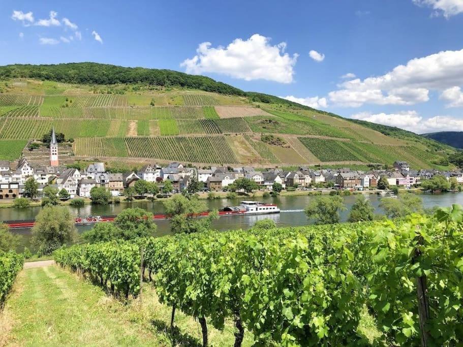 Ferienhaus Schwanennest Zell an der Mosel Ngoại thất bức ảnh